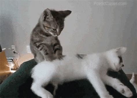 Massage Funny GIFs